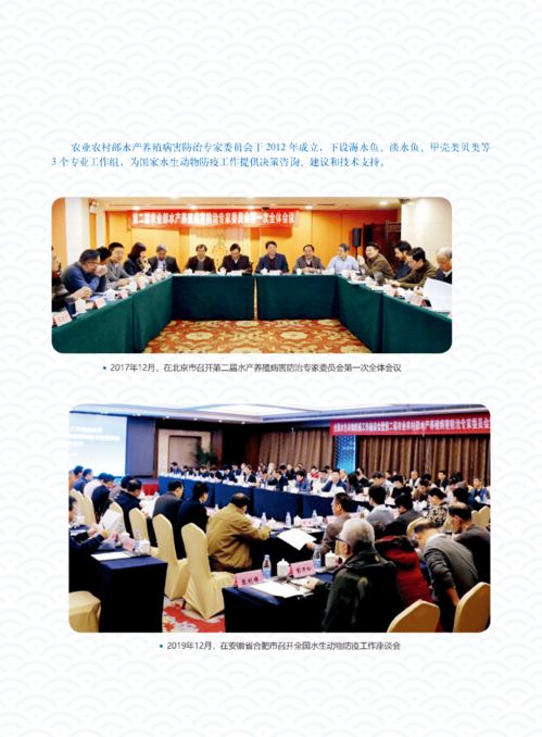 輝煌成就 水產技術推廣三十年回顧（第五期）——疫病防控、質量安全與網絡技術服務的革新之路